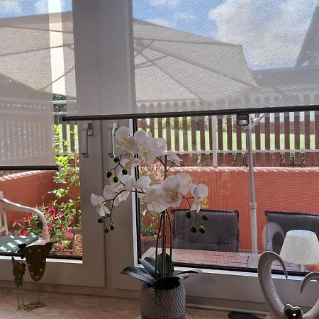 Ferienwohnung Am Reitersgaesschen Blankenrath Екстер'єр фото