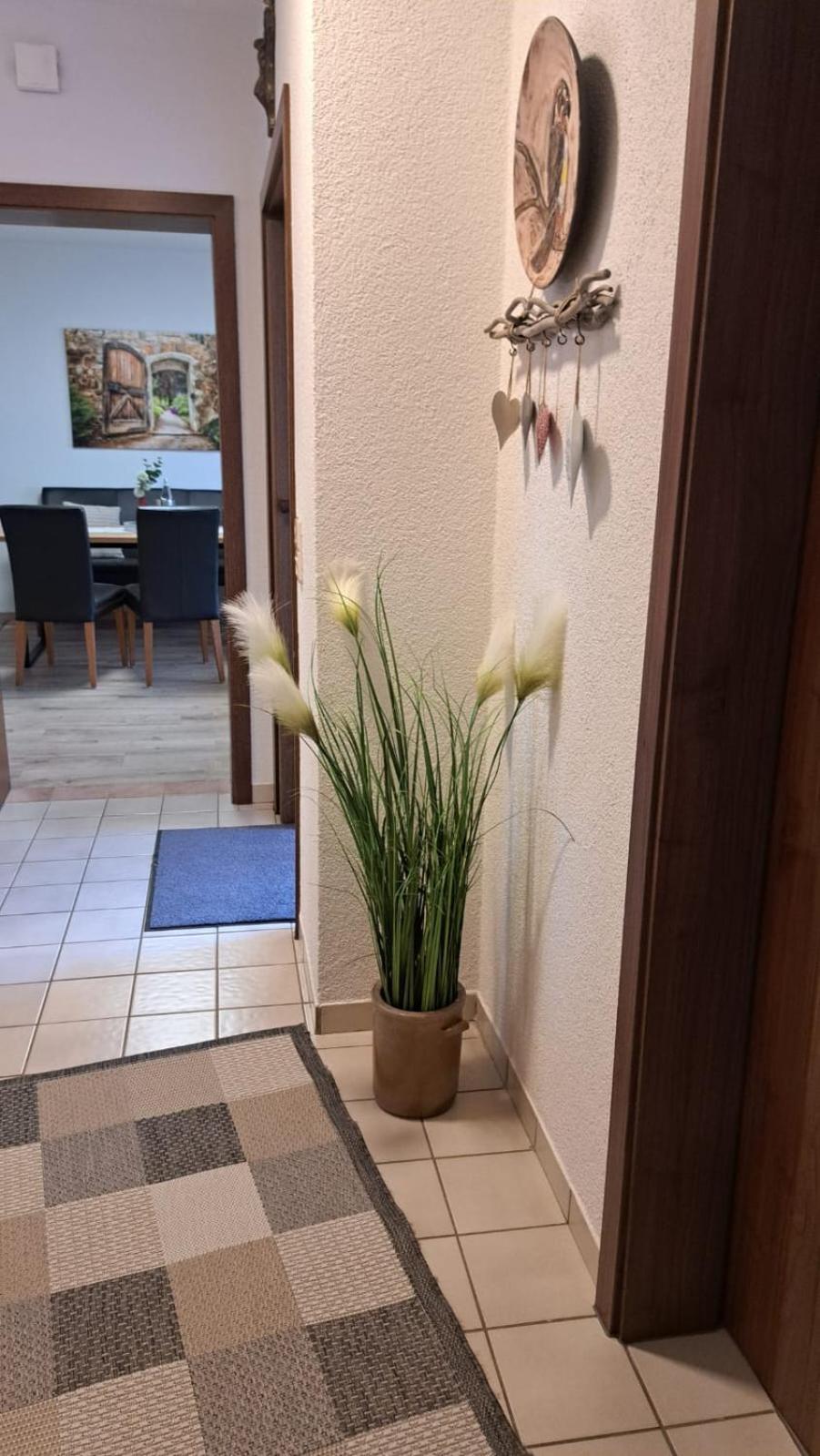 Ferienwohnung Am Reitersgaesschen Blankenrath Екстер'єр фото